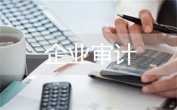 企业审计_副本.jpg